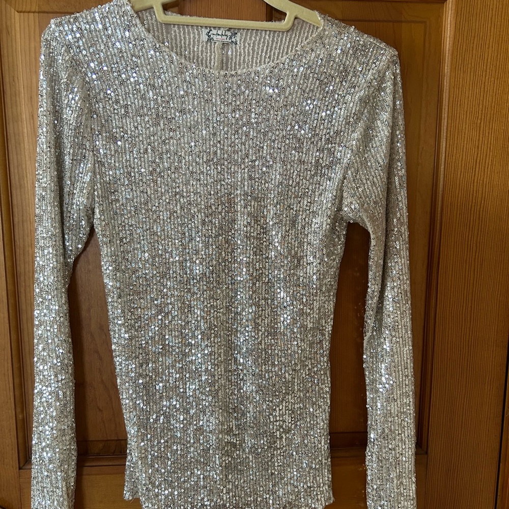 Free People Silver Sequin Long Sleeve Top